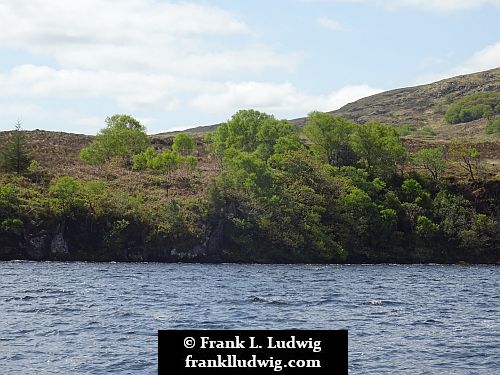 Lough Gill